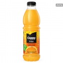 CAPPYPULPYORANGE1l