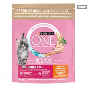ONEJUNIORCATCHICKEN800g